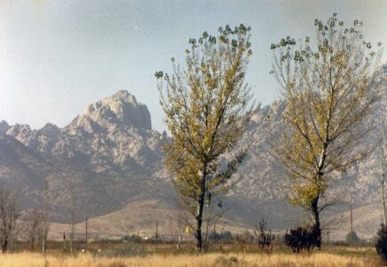 A Home Before the End of the World Image
